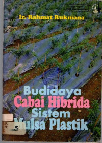 Budidaya Cabai Hibrida Sistem Mulsa Plastik