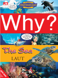 Image of WHY? The Sea